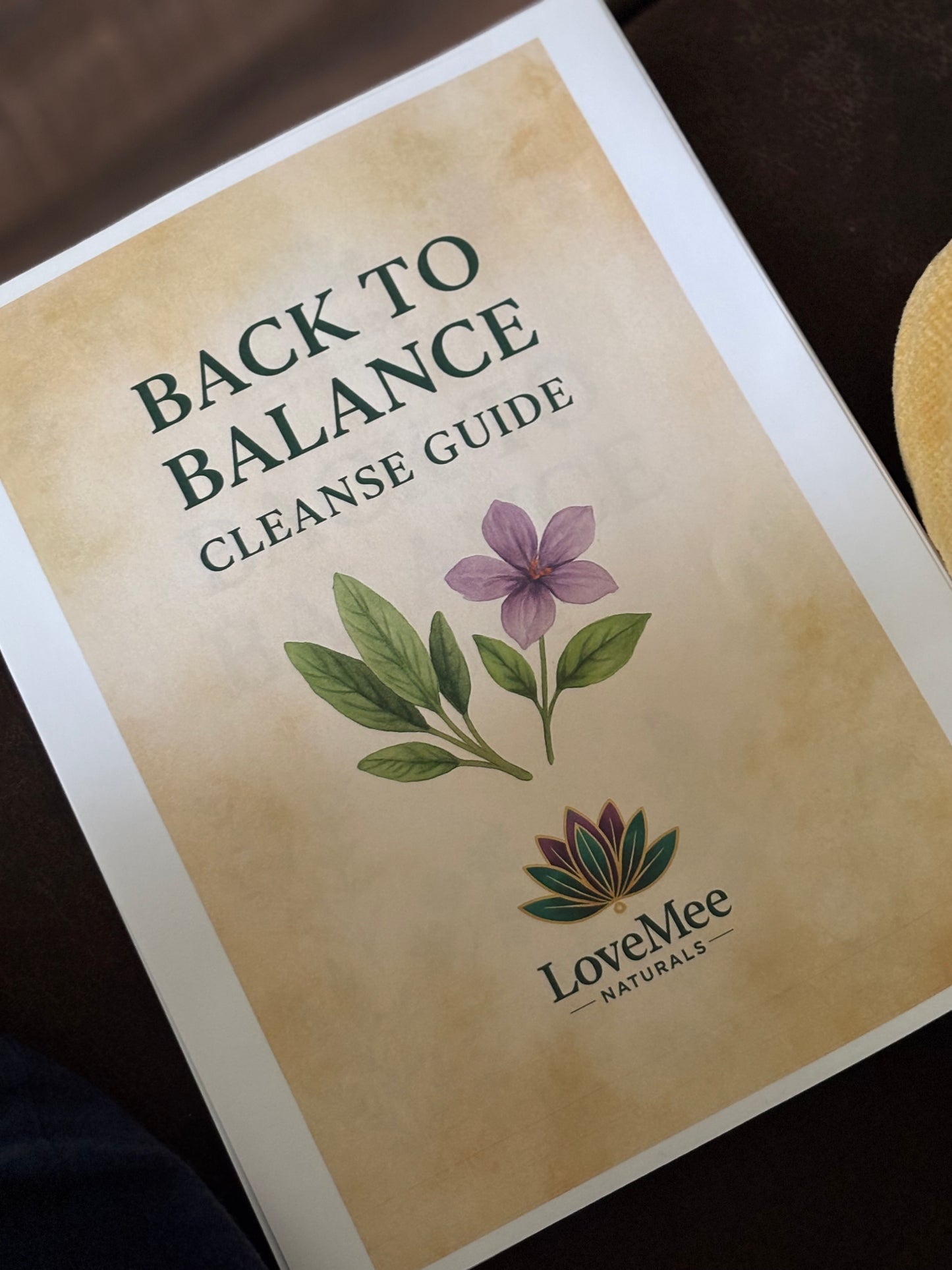 Back to Balance Guide